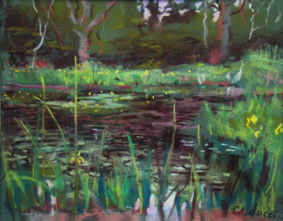 Artist Judith Carducci pastel landscape: Lily Pond #3 — Evening Light - Kittery, Maine ©2009