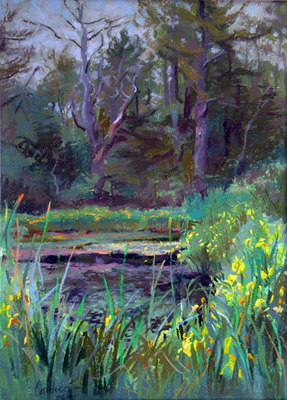 Artist Judith Carducci pastel landscape: Lily Pond #4 — Rainy Day - Kittery, Maine ©2009